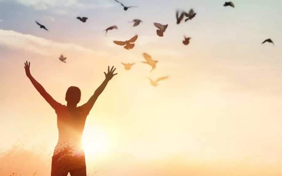 News_Mental Health and Insurance Standards implementation report
