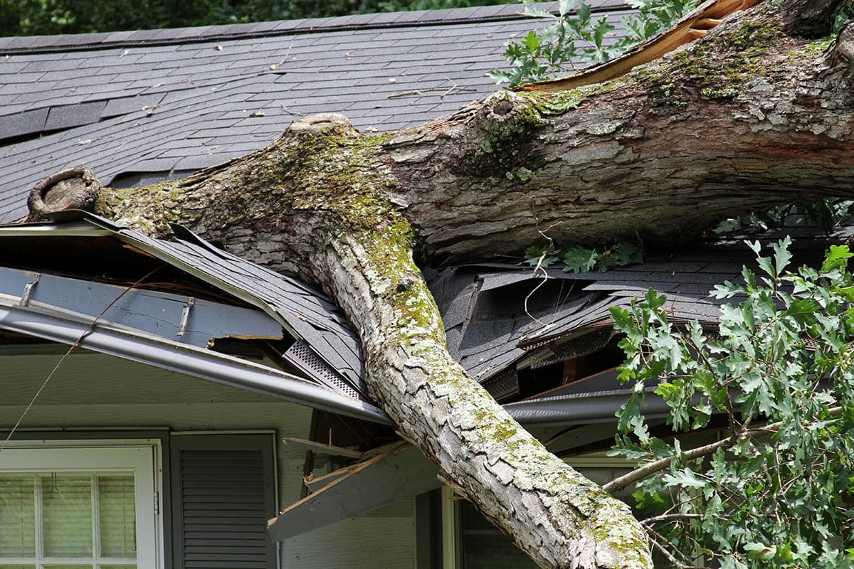 StormsHomeInsuranceGuidance