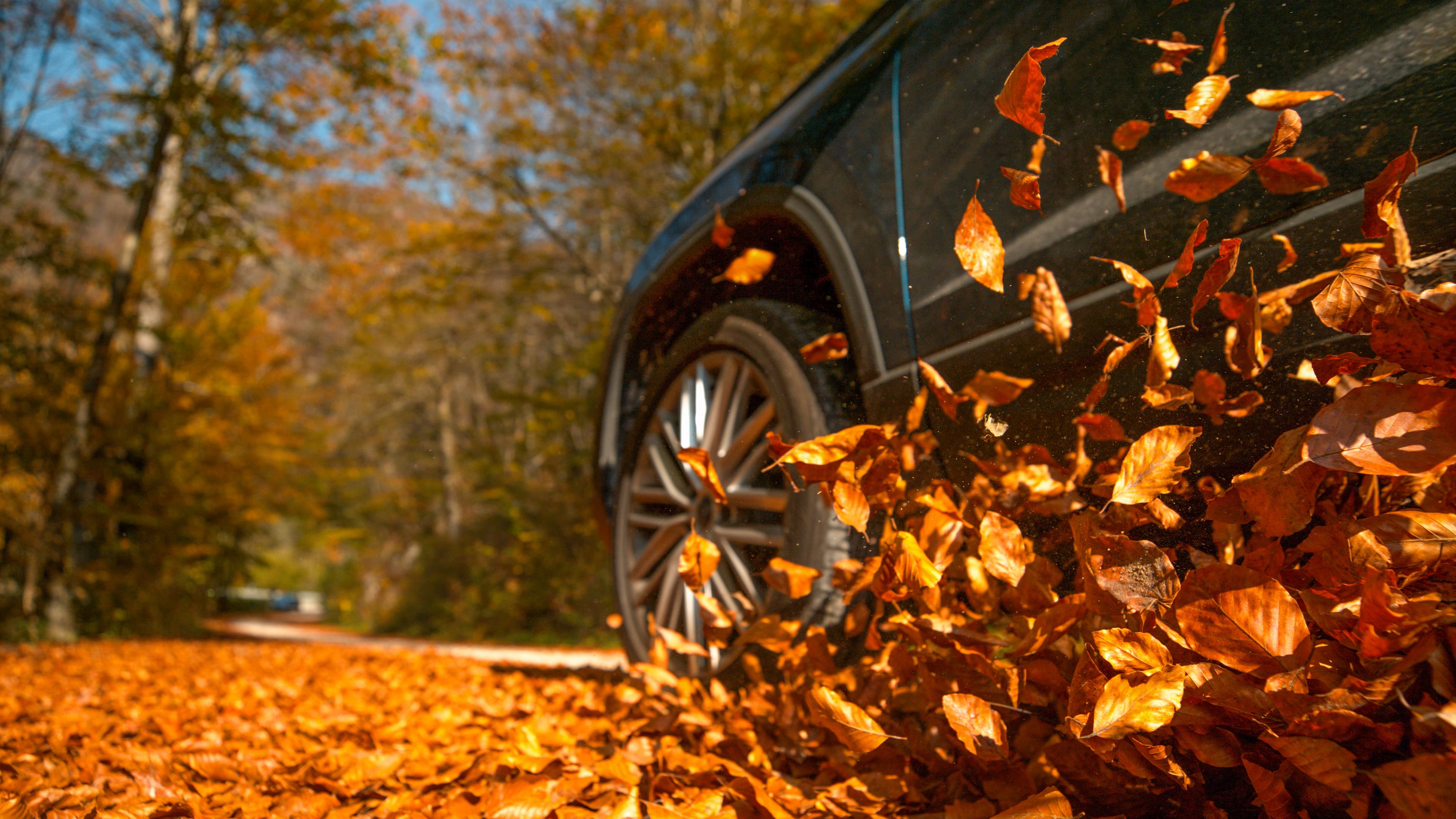 MotorLeavesBlog