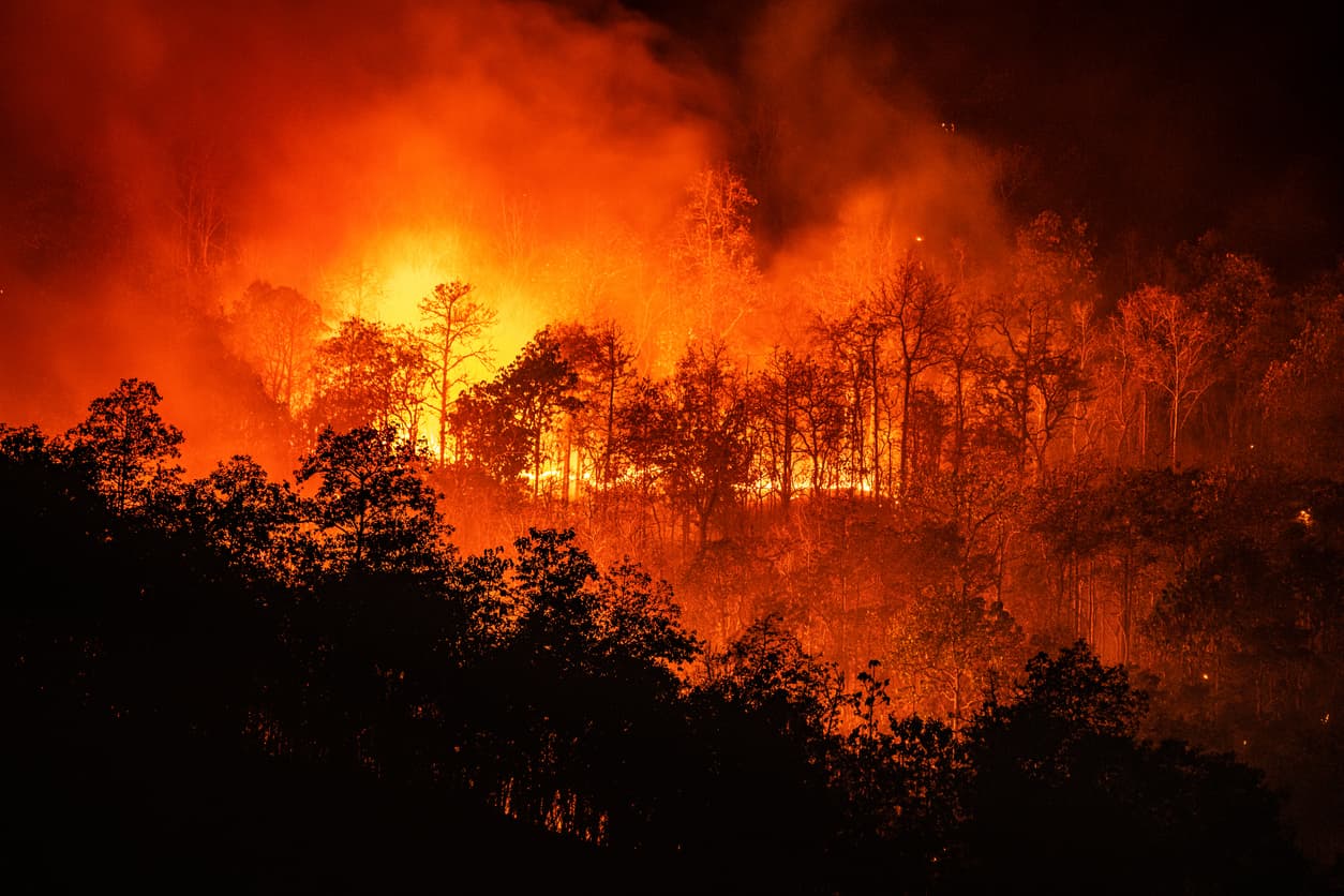 WildfiresHeroImage