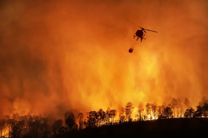 InsuranceWildfires